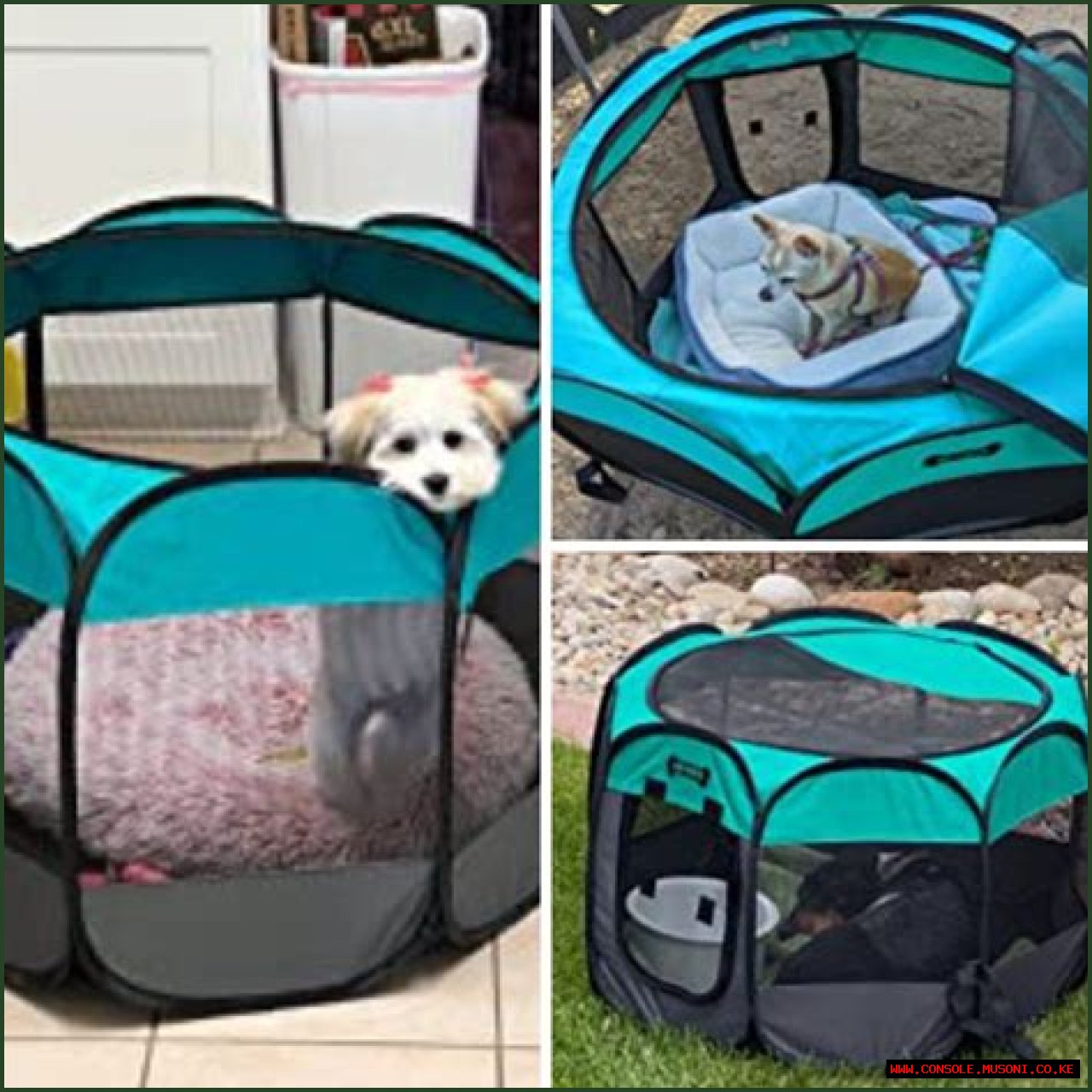 Finding The Best Portable Puppy Playpen For Your Furry Friend