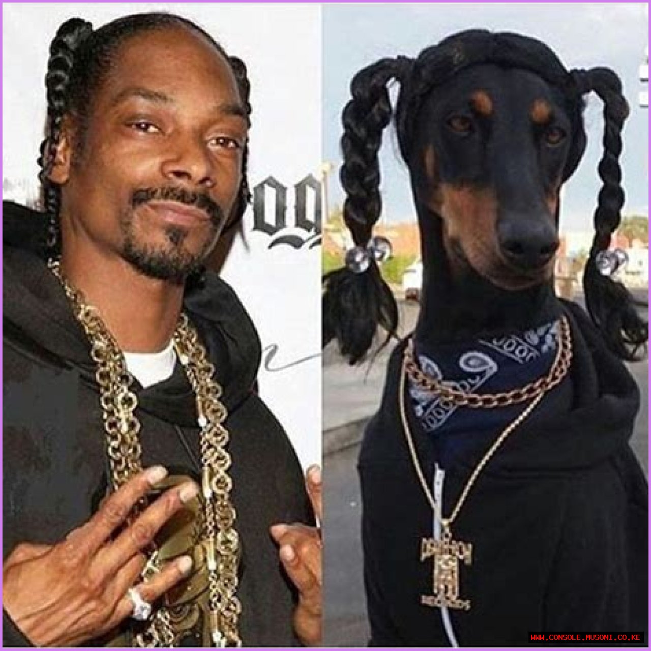 Unraveling The Truth: Does Snoop Dogg Have A Felony?