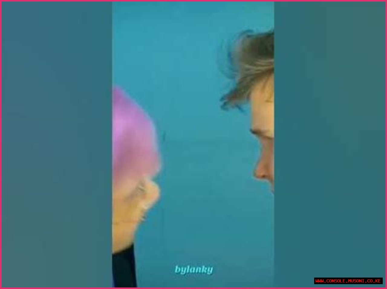 Unveiling The Truth: Is LankyBox Gay?